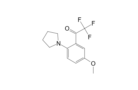 2,2,2-TRIFLUORO-1-[5-METHOXY-2-(1-PYRROLIDINYL)-PHENYL]-ETHANONE