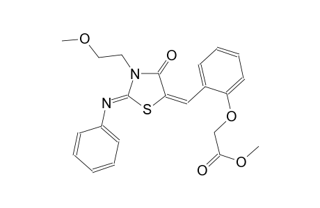 methyl (2-{(E)-[(2Z)-3-(2-methoxyethyl)-4-oxo-2-(phenylimino)-1,3-thiazolidin-5-ylidene]methyl}phenoxy)acetate
