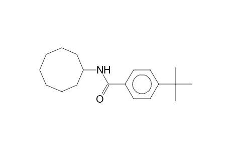 4-tert-Butyl-n-octylbenzamide