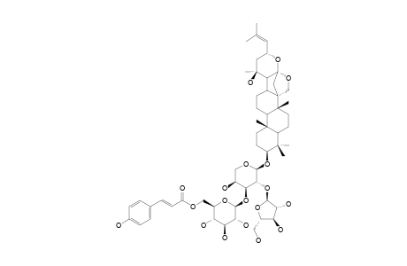 JUJUBOGENIN-3-O-ALPHA-L-ARABINOFURANOSYL-(1->2)-[2-O-TRANS-PARA-COUMAROYL-BETA-D-GLUCOPYRANOSYL-(1->3)]-ALPHA-L-ARABINOPYRANOSIDE