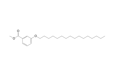 m-(hexadecyloxy)benzoic acid, methyl ester