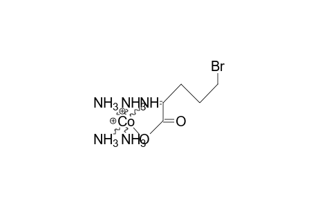 Tetraamino-(5-bromo-2-imino-pentanato) cobalt dication