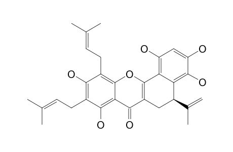 ARTORIGIDIN_A;(5-R)-5,6-DIHYDRO-1,3,4,8,10-PENTAHYDROXY-5-ISOPROPENYL-9,11-BIS-(3-METHYL-2-BUTENYL)-7-H-BENZO-[C]-XANTHEN-7-ONE