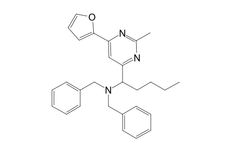 N,N-Dibenzyl-1-[6-(2-furyl)-2-methyl-4-pyrimidinyl]-1-pentanamine