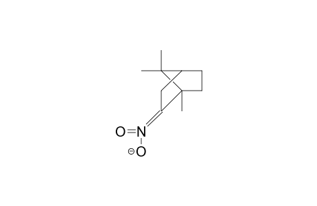 (1,7,7-Trimethyl-bicyclo(2.2.1)heptane)-2-nitronate