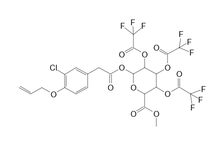 Tris(trifluoroacetyl)methyl ester alclofenac glucuronide