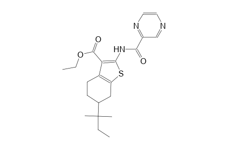 ethyl 6-tert-pentyl-2-[(2-pyrazinylcarbonyl)amino]-4,5,6,7-tetrahydro-1-benzothiophene-3-carboxylate