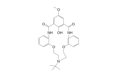 9-tert-Butyl-3,9,15-triaza-4,5;13,14-dibenzo-21-hydroxy-19-methoxy-6,12-dioxabicyclo[15.3.1]henicosa-1(21),17,19-triene-2,16-dione