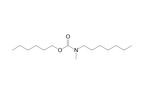 Carbamic acid, N-methyl-N-heptyl-, hexyl ester