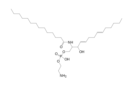 PE-Cer 14:2;2O/14:0