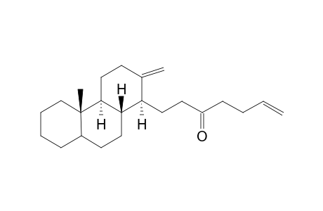 16,17-seco-14-(3-oxohep-6-enyl)-18-methylene-15.alpha.-androstan
