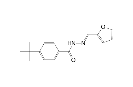 4-tert-butyl-N'-[(E)-2-furylmethylidene]benzohydrazide
