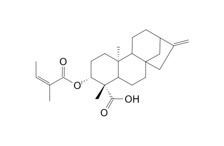 3.alpha.-(Tiglinoyloxy)-(ent)-kaur-16-enic Acid