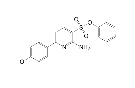 Phenyl 2-Amino-6-(4-methoxyphenyl)pyidine-3-sulfonate
