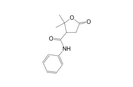 2,2-dimethyl-5-oxo-N-phenyltetrahydro-3-furancarboxamide