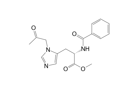 L-Histidine, N-benzoyl-3-(2-oxopropyl)-, methyl ester