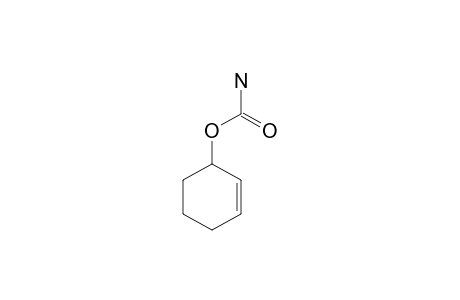 CYCLOHEX-2-ENYL-CARBAMATE