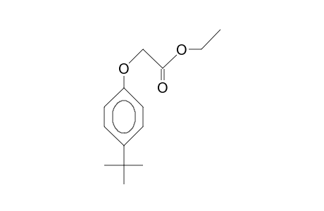 2-(4-tert-butylphenoxy)acetic acid ethyl ester
