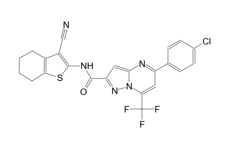 5-(4-chlorophenyl)-N-(3-cyano-4,5,6,7-tetrahydro-1-benzothien-2-yl)-7-(trifluoromethyl)pyrazolo[1,5-a]pyrimidine-2-carboxamide