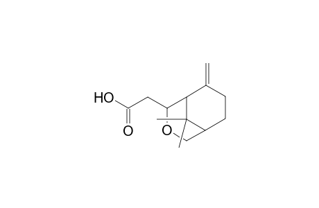 3-Oxabicyclo[3.3.1]nonane-2-acetic acid, 9,9-dimethyl-8-methylene-, endo-(.+-.)-