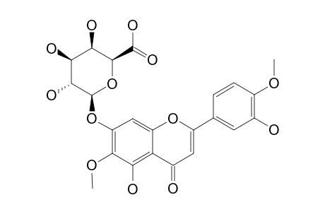 DEMETHOXY-CENTAUREIDIN-7-O-BETA-D-GALACTURONOPYRANOSIDE;5,7,3'-TRIHYDROXY-6,4'-DIMETHOXY-FLAVONE-7-O-BETA-D-GALACTURONOPYRANOSIDE