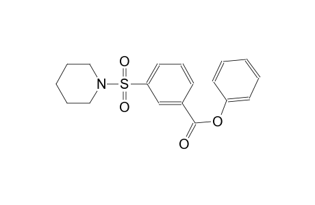 Phenyl 3-(1-piperidinylsulfonyl)benzoate