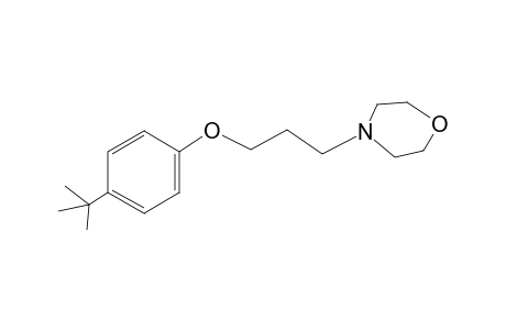 4-[3-(4-tert-butylphenoxy)propyl]morpholine