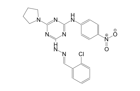 benzaldehyde, 2-chloro-, [4-[(4-nitrophenyl)amino]-6-(1-pyrrolidinyl)-1,3,5-triazin-2-yl]hydrazone
