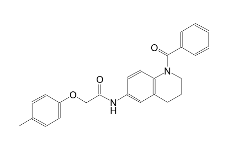 N-(1-benzoyl-1,2,3,4-tetrahydro-6-quinolinyl)-2-(4-methylphenoxy)acetamide