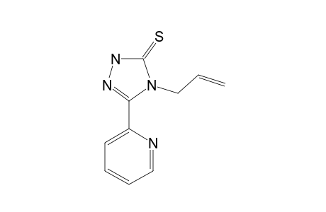 4-allyl-3-(2-pyridyl)-delta square-1,2,4-triazoline-5-thione