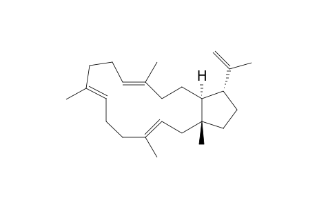 (+)-Brassitetraene B