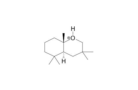 3,3,6,6,10-PENTAMETHYL-5,7,8,9-TETRAHYDRO-TRANS-CHROMANE PROTONATED