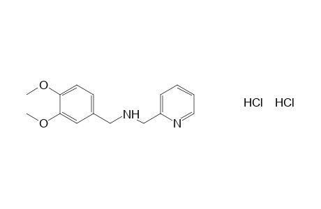 2-[(veratrylamino)methyl]pyridine, dihydrochloride