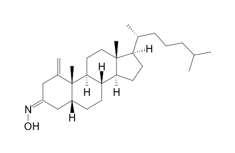 (5R,8S,9S,10S,13R,14S,17R)-10,13-dimethyl-1-methylene-17-[(2R)-6-methylheptan-2-yl]-4,5,6,7,8,9,11,12,14,15,16,17-dodecahydrocyclopenta[a]phenanthren-3-one oxime