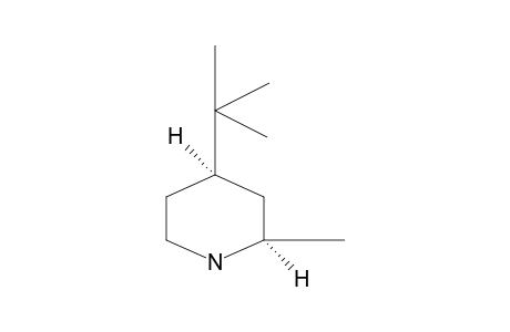 cis-4-tert-BUTYL-2-PIPECOLINE