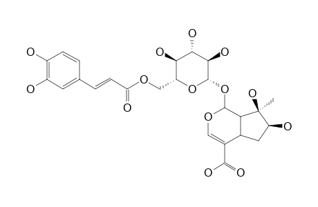 LIPPIOSIDE-II;6'-O-TRANS-CAFFEOYL-CARYOPTOSIDIC-ACID