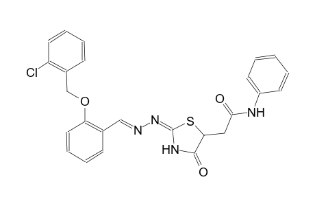 2-[(2E)-2-((2E)-2-{2-[(2-chlorobenzyl)oxy]benzylidene}hydrazono)-4-oxo-1,3-thiazolidin-5-yl]-N-phenylacetamide