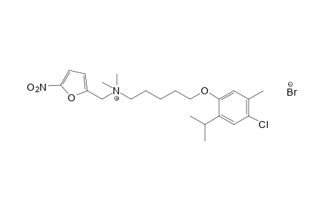 {5-[(6-chlorothymyl)oxy]pentyl}dimethyl(5-nitrofurfuryl)ammonium bromide