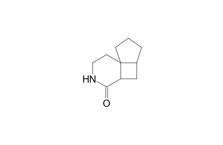 Octahydro-6-azacyclopenta[1,4]cyclobuta[1,2]benzene-5-one