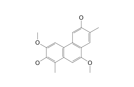 TRIGONOCHINENE_E