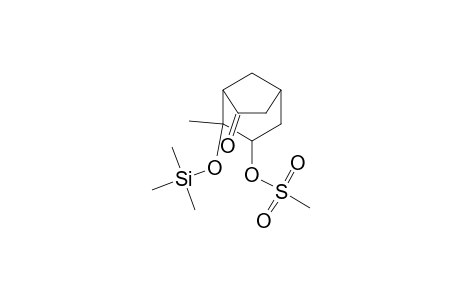 Bicyclo[3.2.1]octan-6-one, 4-methyl-3-[(methylsulfonyl)oxy]-4-[(trimethylsilyl)oxy]-, (exo,exo)-(.+-.)-