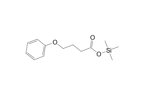 Butyric acid, 4-phenoxy-, trimethylsilyl ester