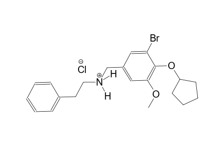 N-[3-bromo-4-(cyclopentyloxy)-5-methoxybenzyl]-2-phenylethanaminium chloride