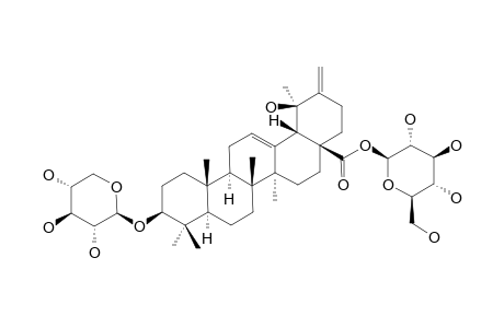 OBLONGANOSIDE-F;3-O-BETA-D-XYLOPYRANOSYL-3-BETA,19-ALPHA-DIHYDROXY-URS-12,20(30)-DIEN-28-OIC-ACID-28-BETA-D-GLUCOPYRANOSYLESTER