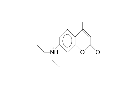 7-Dimethylamino-4-methyl-coumarin cation
