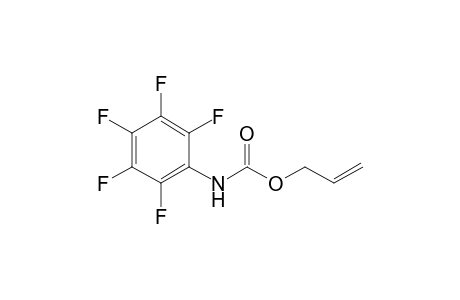 N-Pentafluorophenylcarbamic acid allyl ester