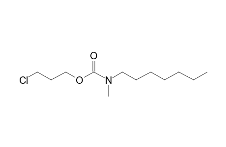 Carbamic acid, N-methyl-N-heptyl-, 3-chloropropyl ester