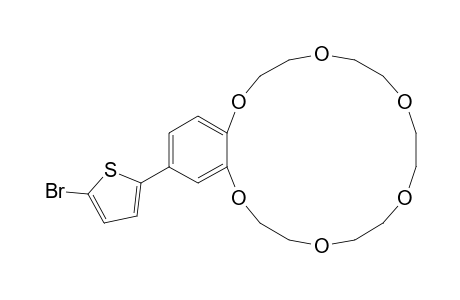 20-(5-bromanylthiophen-2-yl)-2,5,8,11,14,17-hexaoxabicyclo[16.4.0]docosa-1(18),19,21-triene