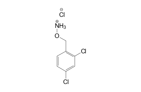Hydrochloride, Hydroxylamine, O-[(2,4-dichlorophenyl)methyl]-,
