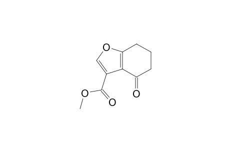 3-Benzofurancarboxylic acid, 4,5,6,7-tetrahydro-4-oxo-, methyl ester